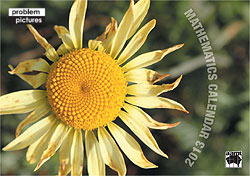 Calendar cover