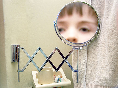 Adjustable mirror