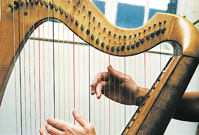 Harp